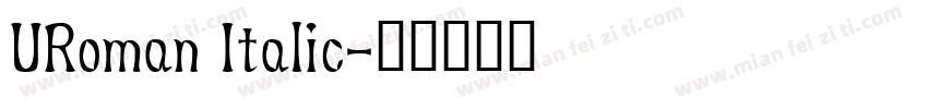 URoman Italic字体转换